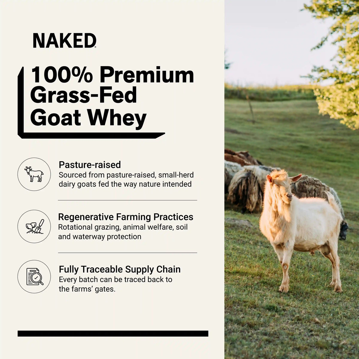 Vanilla Goat Whey Protein Powder | Naked Goat - 2lb