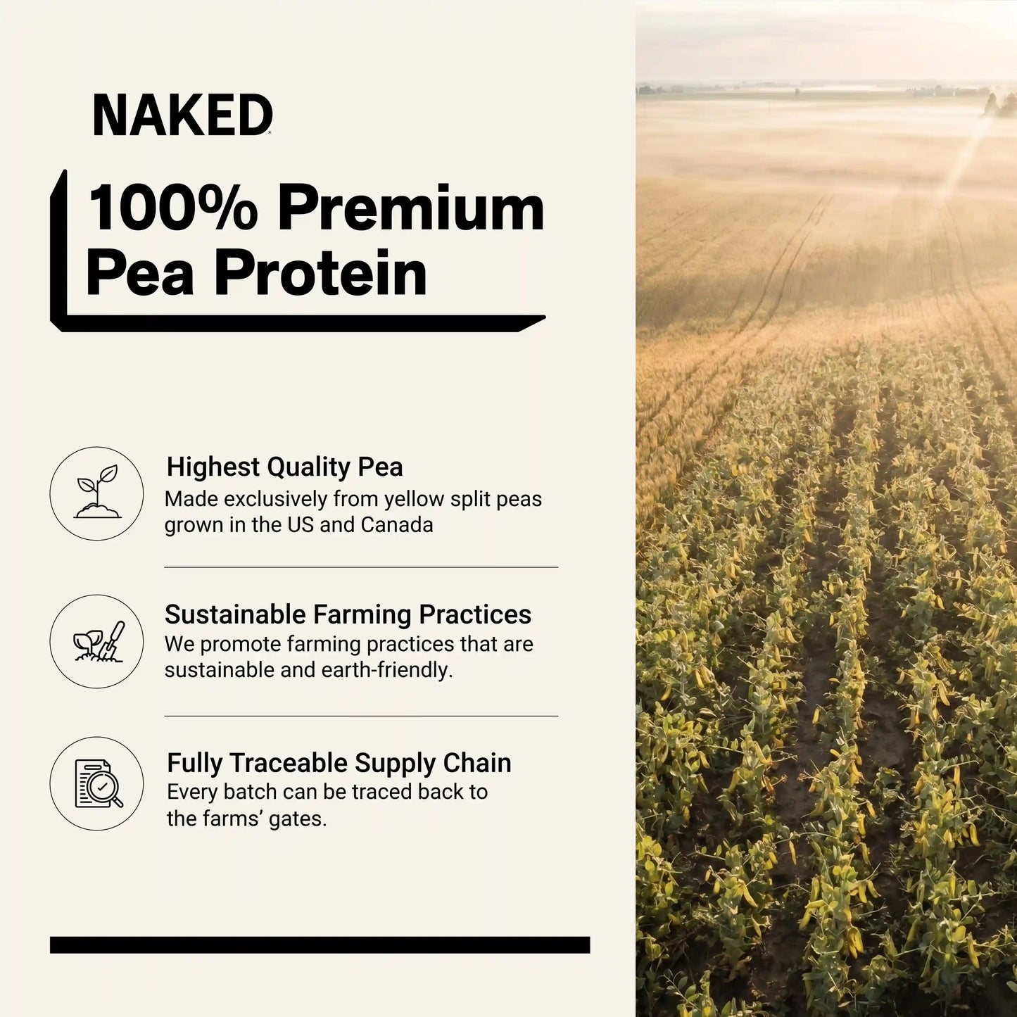 Vanilla Pea Protein Powder | Naked Vanilla Pea - 1LB