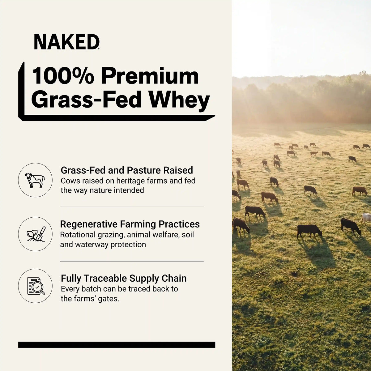 Grass Fed Whey Protein Powder | Naked Whey - 5LB