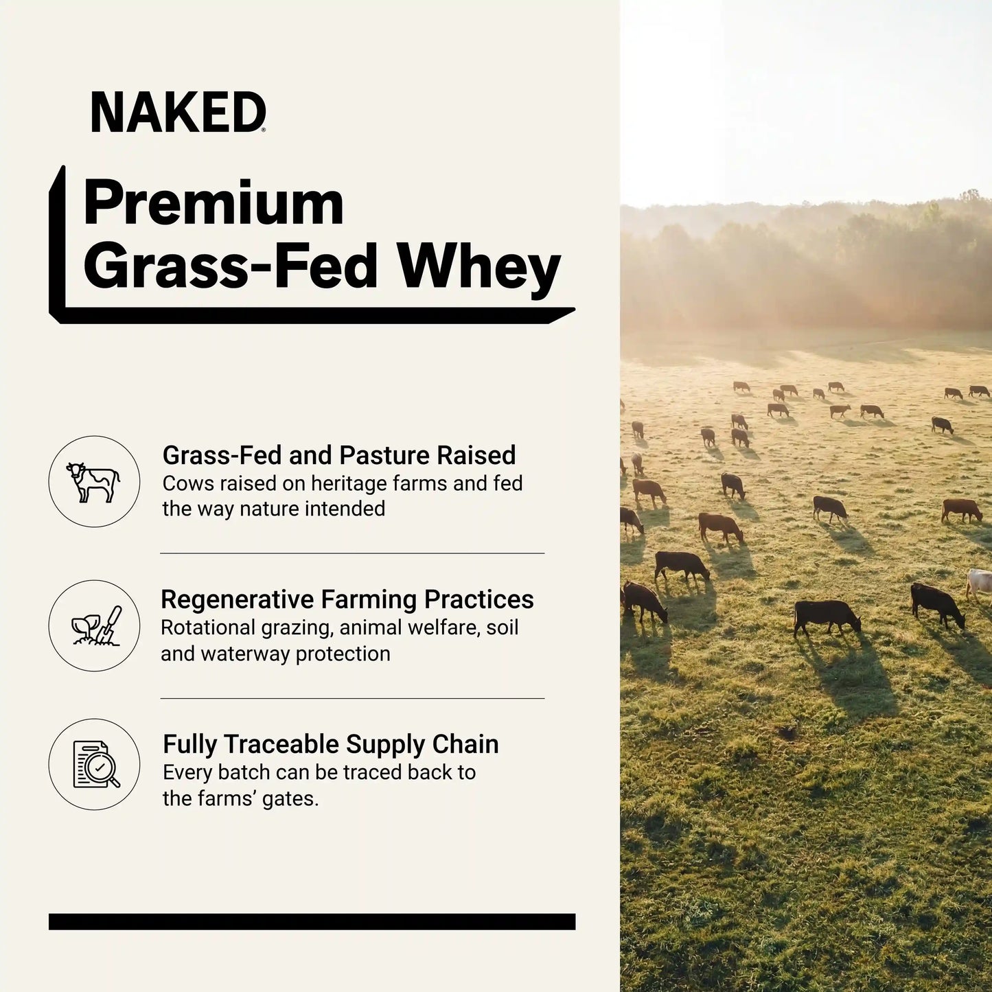 Vanilla Whey Protein Powder 1lb | Naked Vanilla Whey - 1LB